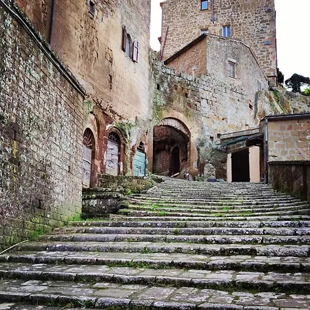 La Tana Del Grillo