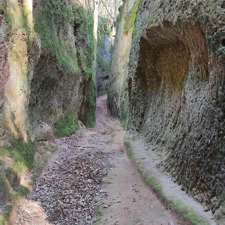 La Tana Del Grillo *
